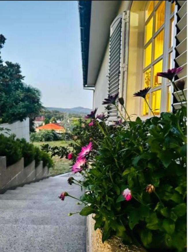 Bed and Breakfast A Casa De Abelleira Ponteareas Zewnętrze zdjęcie